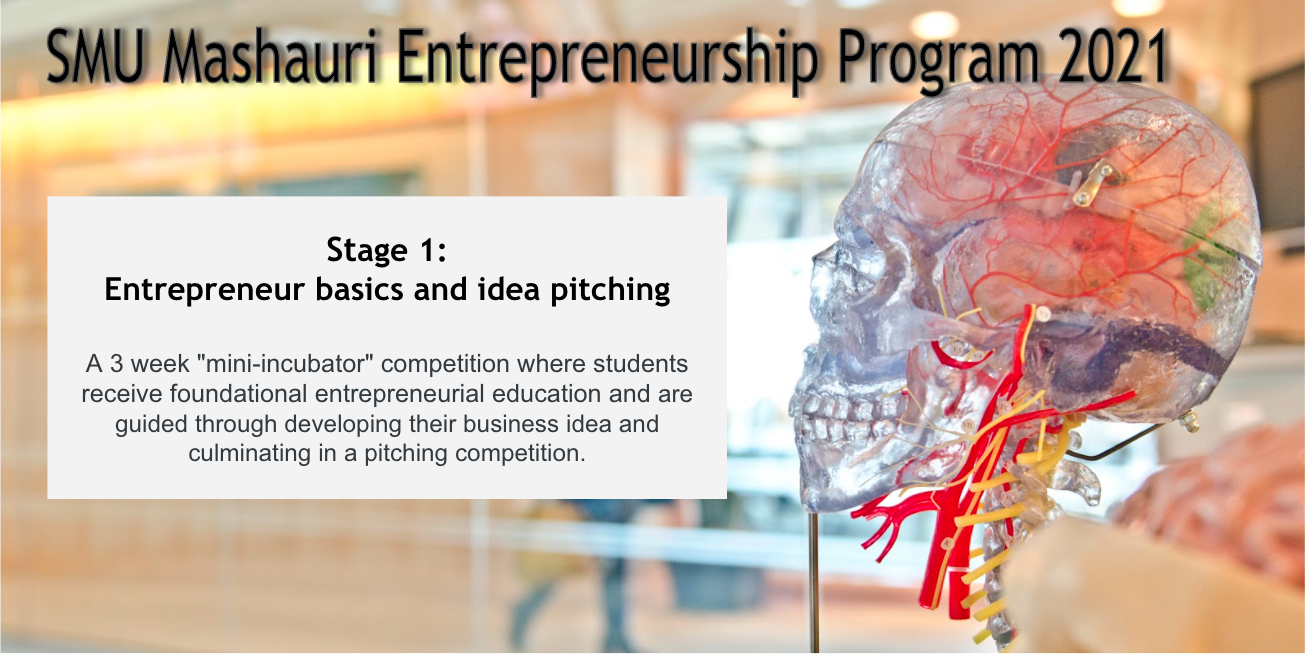 SMU Mashauri Entrepreneurship Program. Stage 1: Entrepreneur basics and idea pitching