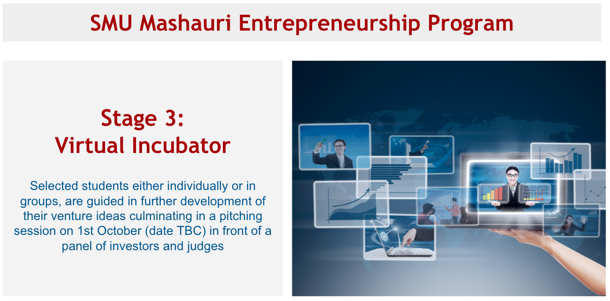 SMU Mashauri Entrepreneurship Program Stage 3 Virtual Incubator